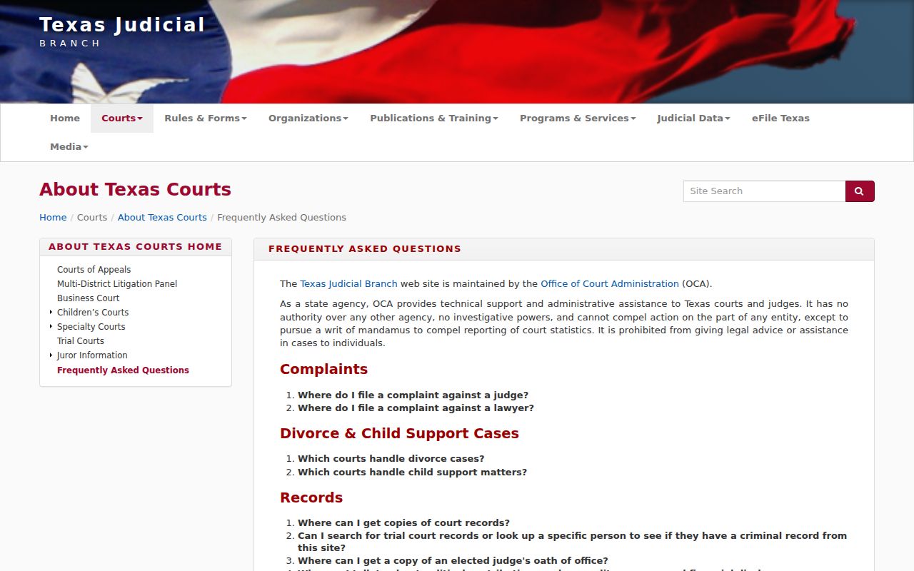 Live Oak County warrant lookup context from the Texas courts no-single-portal page