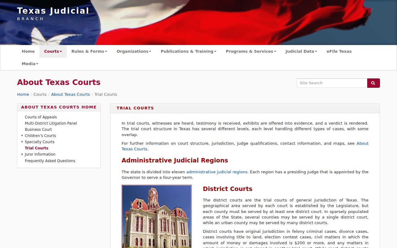 Live Oak County arrest warrant court context in the Texas trial-court structure